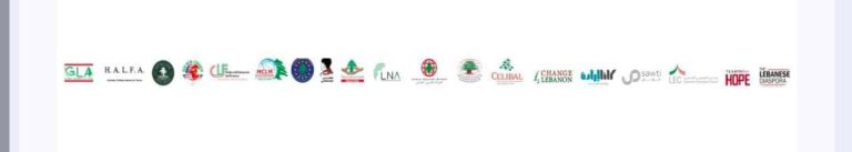 حق التصويت الدستوري في الانتخابات لكل اللبنانيين حول العالم